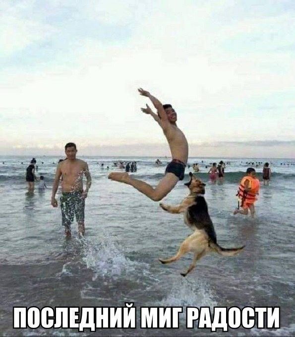 прещднии миггпдопти че