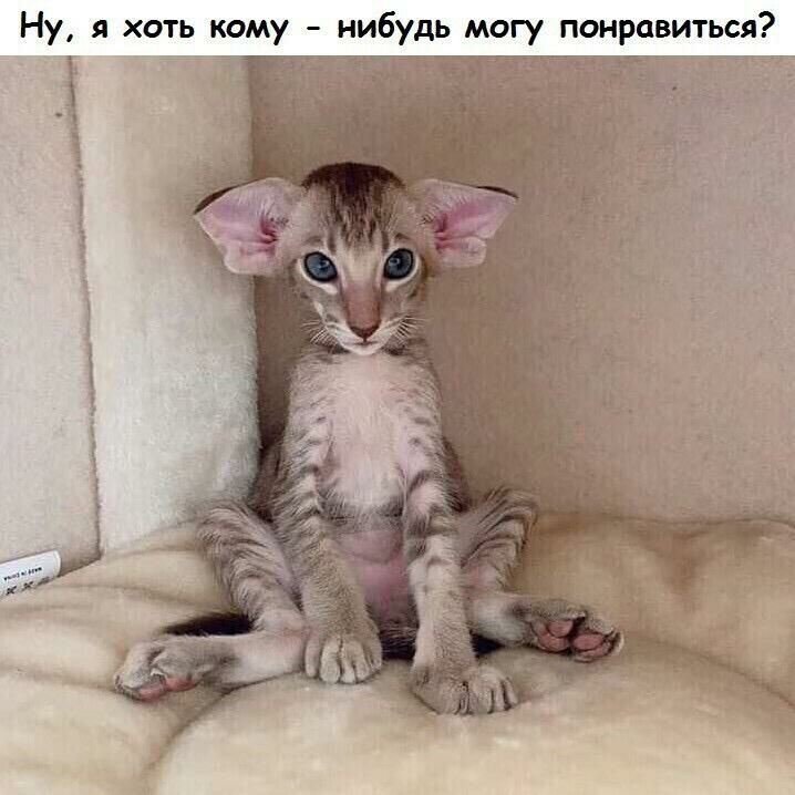 Ну я хоть кому нибудь могу понравиться