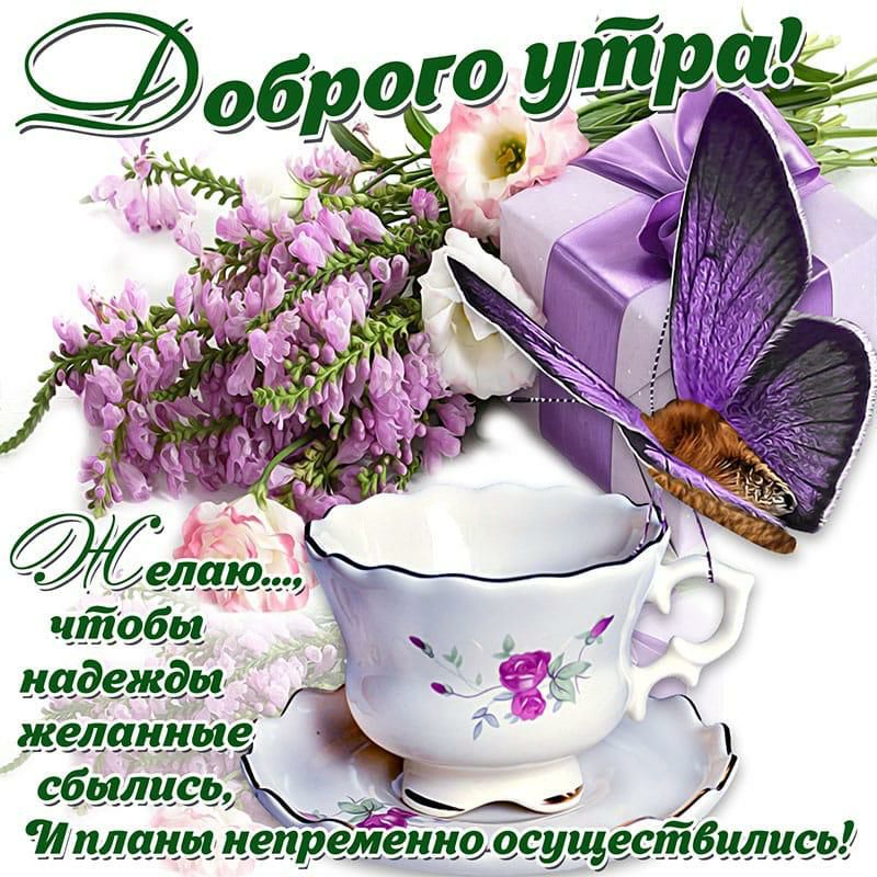 ШСДЧНЫЩЁ сбилцседК _