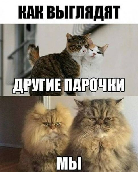 НАН ВЫШПДПТ
