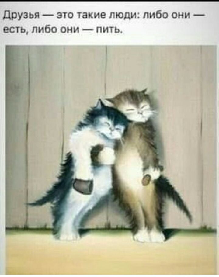 друзья это такие люди либо они есть либо они пити