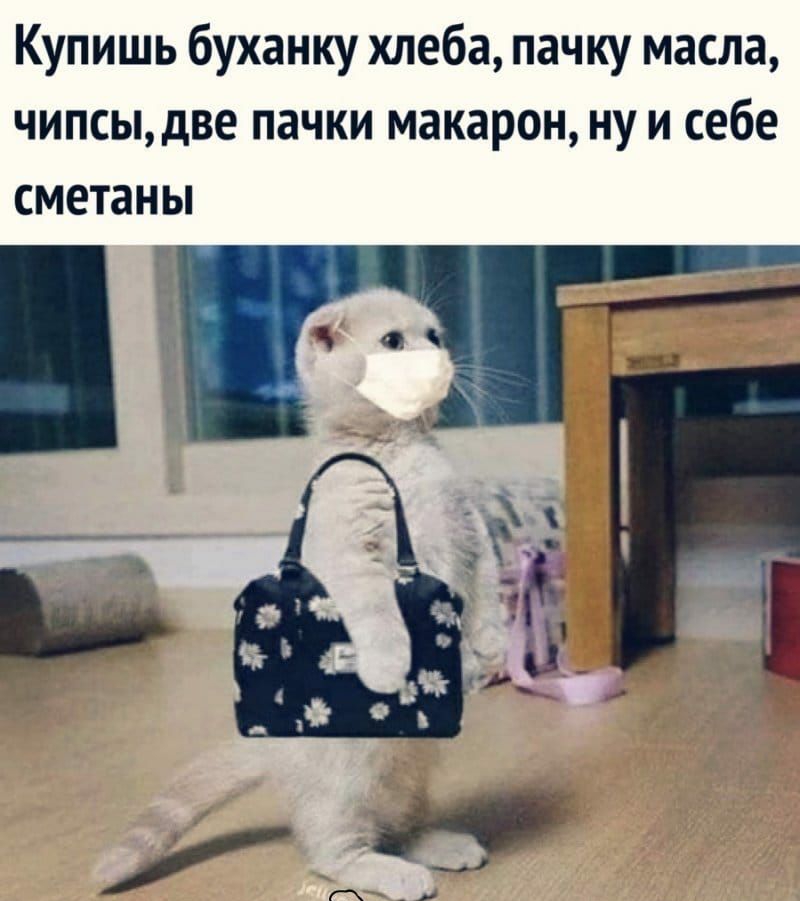 Купишь буханку хлеба пачку масла чипсыдве пачки макарон ну и себе сметаны