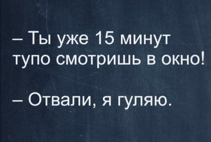 Ты уже 15 минут тупо смотришь в окно Отвали я гуляю