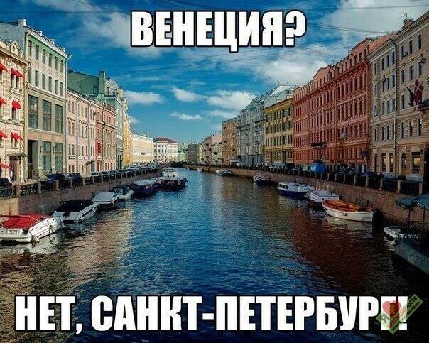 ЁЕ Минт пингвин