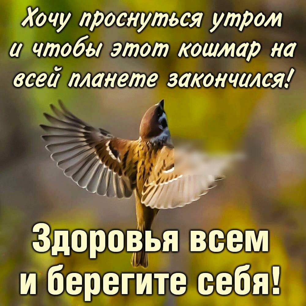 очу проснуться утром и чтобы этот кошмар на всеа ллаЁЁте закончился _ м д ц д у А уд д ь И Здоровья вёмд и берегИте еебяь