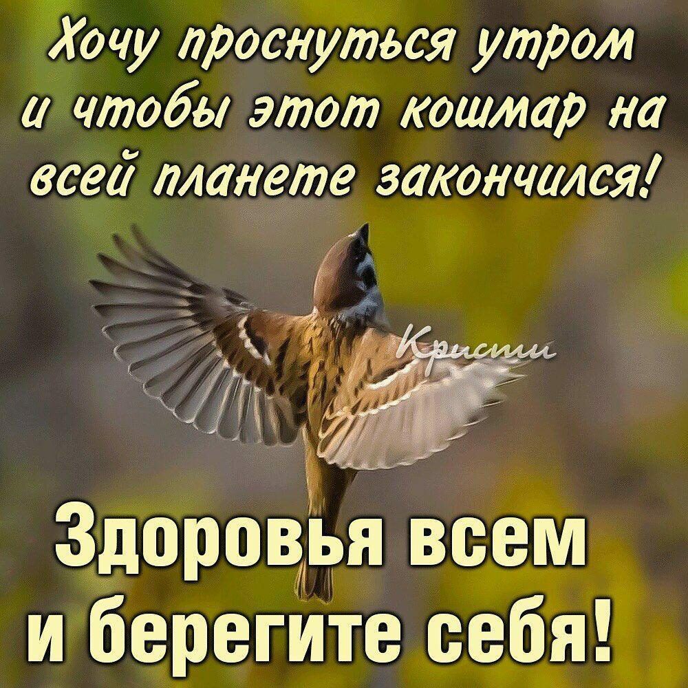 Хочу проснуться утром и чтобы этот кошмар на всеа планете закончился Здоровья всём и берегИТе себя