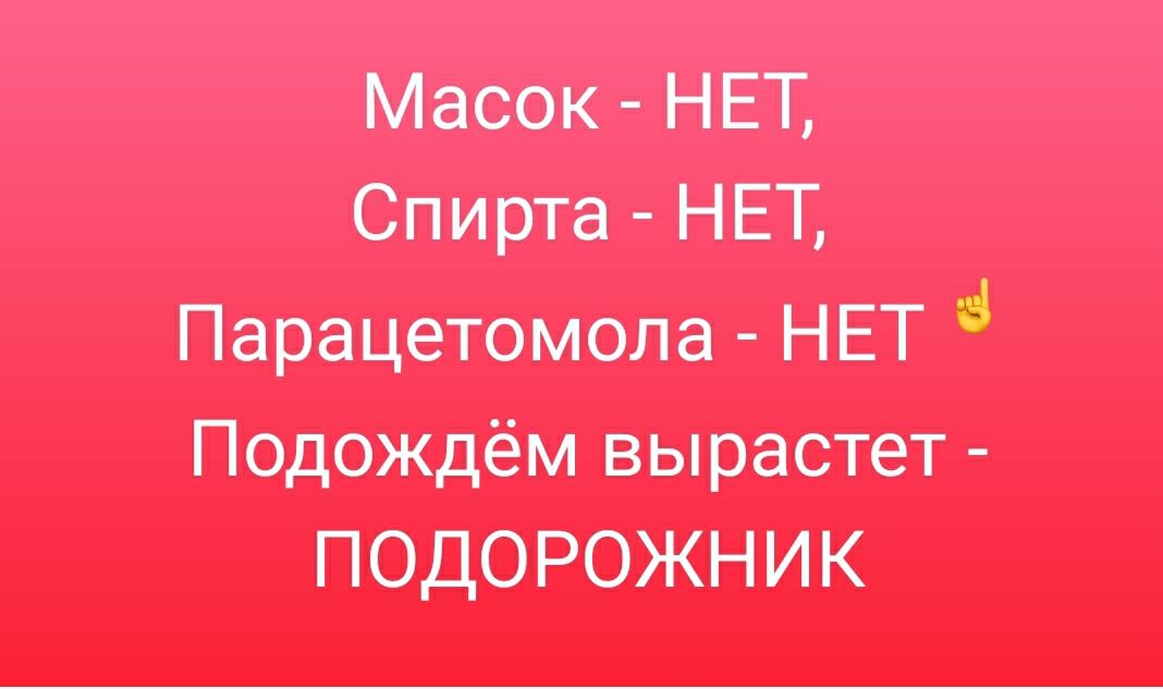 Масок НЕТ Спирта НЕТ Патрацетомола НЕТ Подощём вырастет ПОДОРОЖНИК