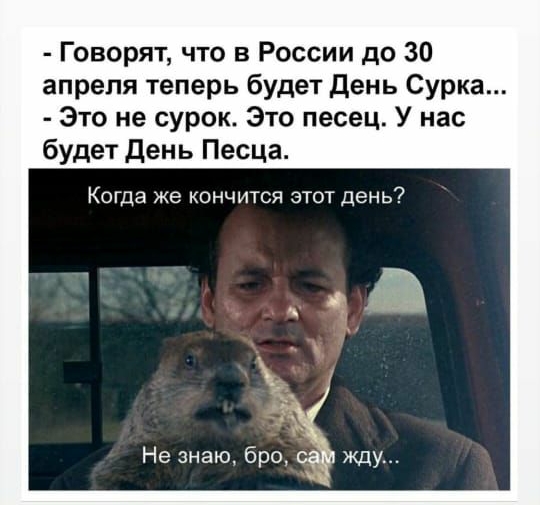 Говорят что в России до 30 апреля теперь будет День Сурка Это не сурок Это песец У нас будет день Песца Когда же кончится этот день Не знаю бро жду