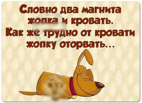 Словно два магнита 14 кровать Как же трудно от кровати жопку оторвать