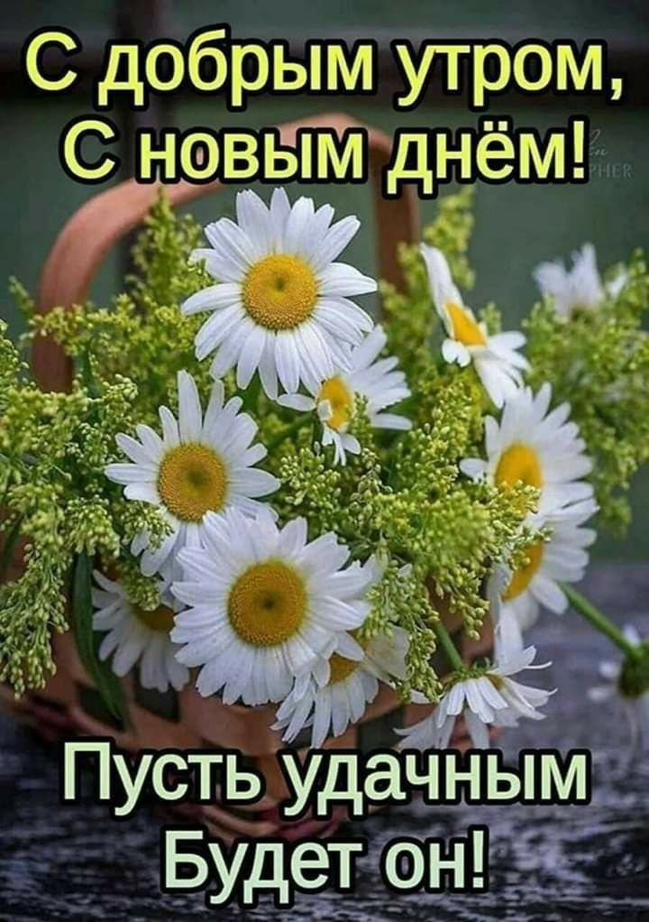 С даэбрым УТЮЭМ С днём Пусть удачныМСт Будеттон Ё гих ЁЁ