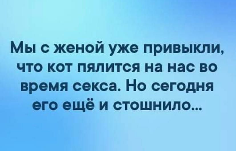 Мы с женой уже привыкли что кот пялится на нас во время секса Но сегодня гбтещё и стошнило