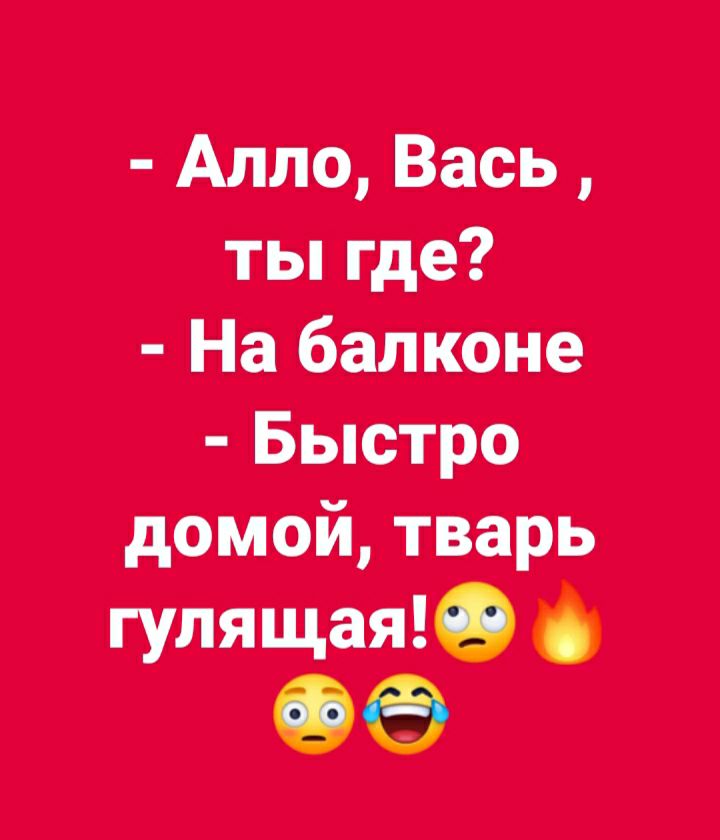 Алло Вась ты где На балконе Быстро домой тварь гудящим ОО