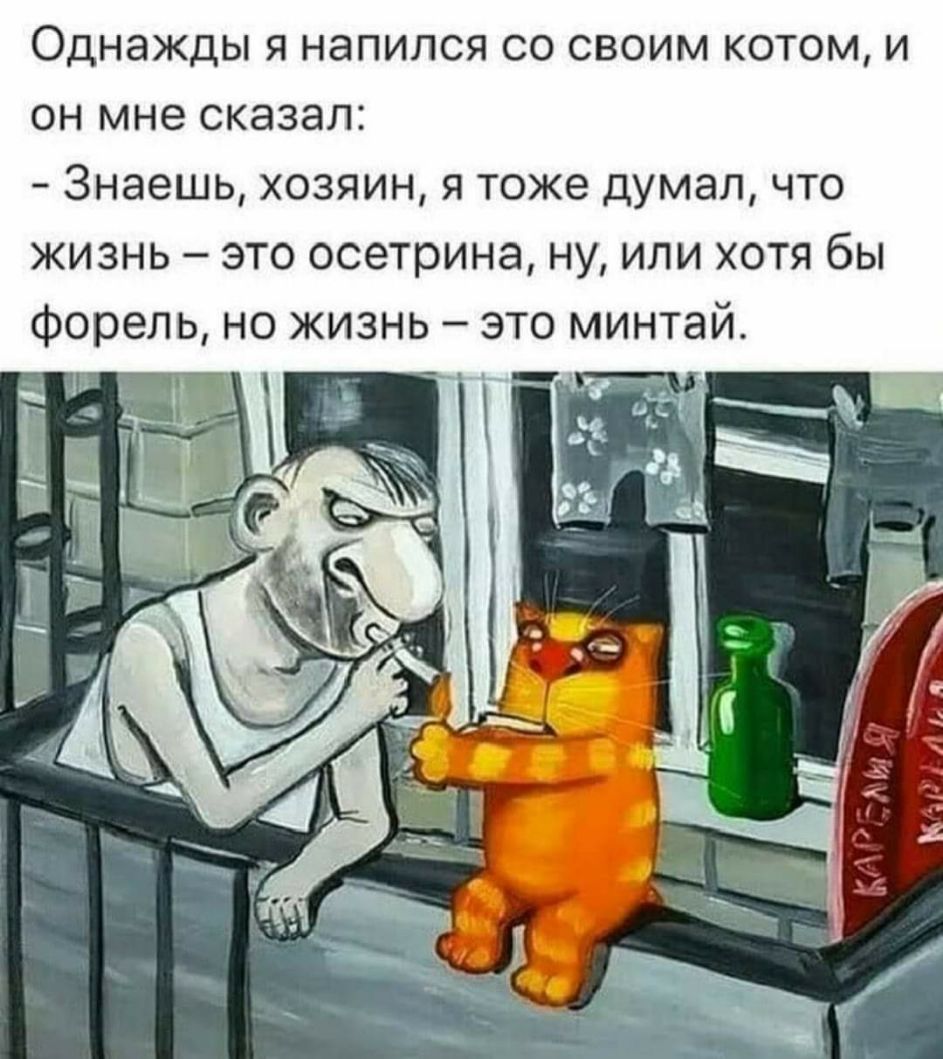 Однажды я напился со своим котом и он мне сказал Знаешь хозяин я тоже думал что жизнь это осетрина ну или хотя бы форель но жизнь это минтай я і Р