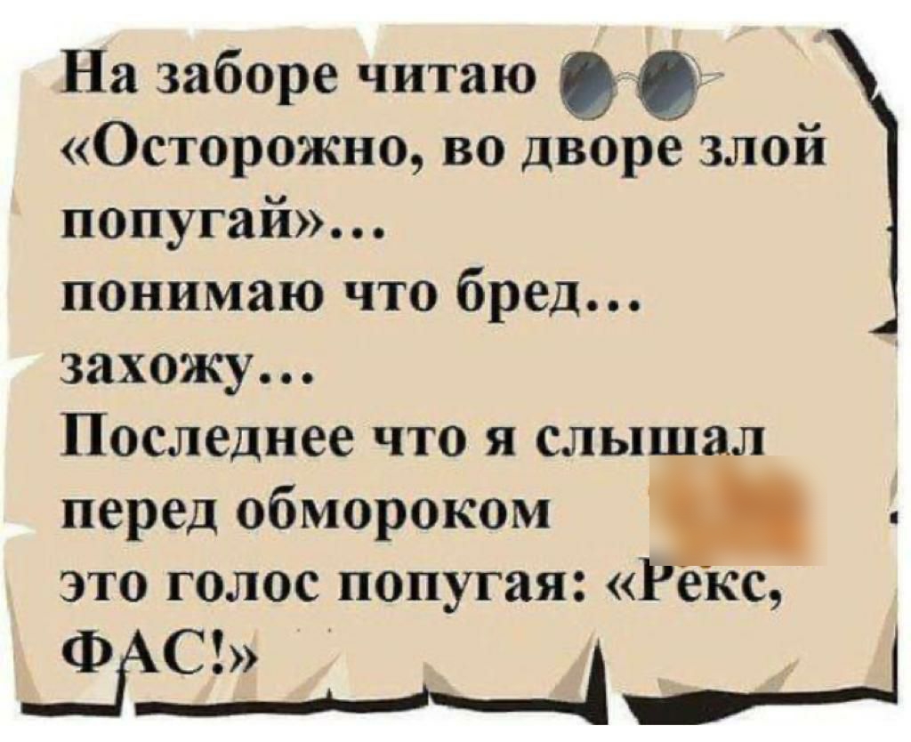 На заборе читаю О 0 Осторожно во дворе злой попугай понимаю что бред захожу Последнее что я слыш л перед обмороком это голос попугая екс ШАС