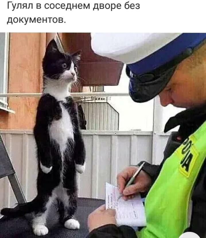 Гулял в соседнем дворе без документов
