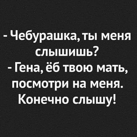 Чебурашкаты меня слышишь Гена ёб твою мать посмотри на меня Конечно слышу