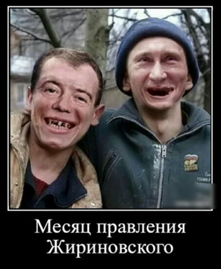 Месяц правления Жириновского