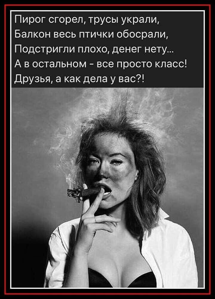 Пирог сгорел трусы украли Балкон весь птички обосрали Подстригли плохо денег нету А в остальном все просто класс Друзья а как дела у вас