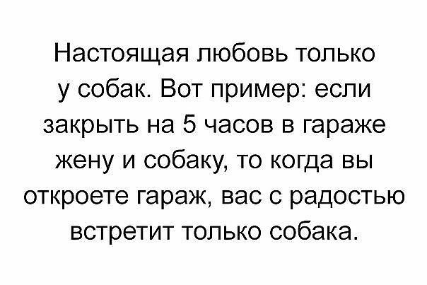 Настоящая любовь только у собак Вот пример если закрыть на 5 часов в гараже жену и собаку то когда вы откроете гараж вас с радостью встретит только собака