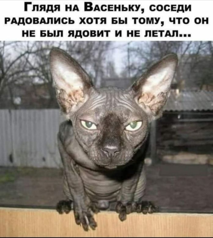 Глядя нд ВАсЕньку соседи гддовдпись хотя вы тому что он не вып ядовит и не петдп