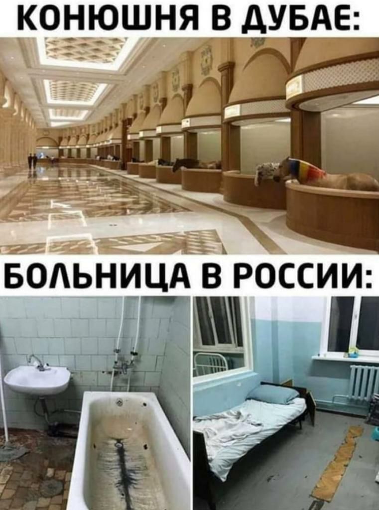 КОНЮШНЯ В дУБАЕ