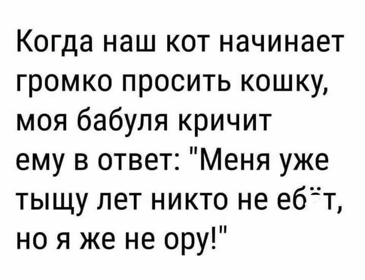 Когда наш кот начинает громко просить кошку моя бабуля кричит ему в ответ Меня уже тыщу лет никто не ебт но я же не ору