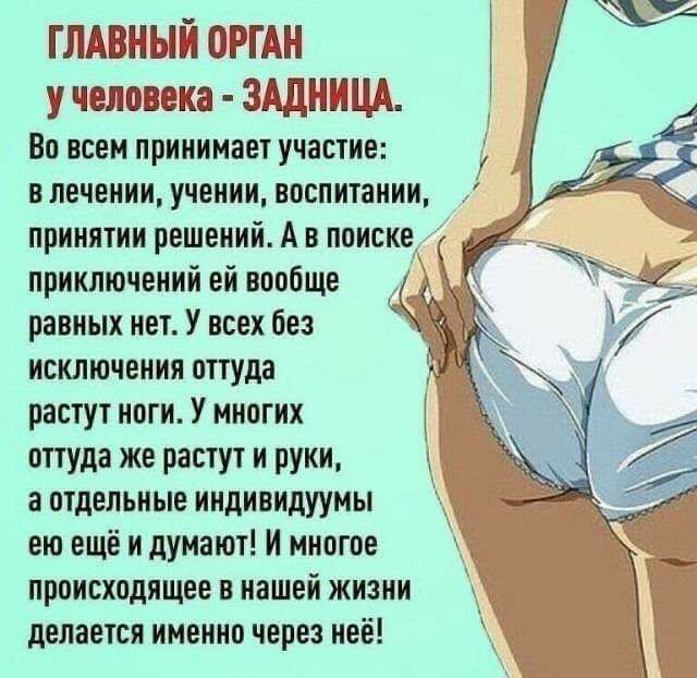 ГЛАВНЫЕ ЕЭПЪП челове ЧЩЕСЁША Во всем принимает участие в лечении учении воспитании принятии решений А в поиске приключений ей вообще равных нет У всех без исключения оттуда растут ноги У многих оттуда же растут и руки а отдельные индивидуумы _ ею ещё и думают И многое происходящее в нашей жизни делается именно через неё