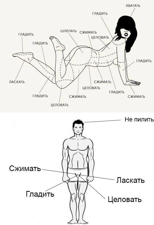 хвмдть ШАПИТЬ гиджизь ГЛАДИТЬ гпдпить ЛАСКАХЬ цвповмь ПАПИТЬ ГЛАДИТЬ скимдть сжЁіммь ЦЕ168АЬ Не пилить Сжи мать Паскать Гпадить Целовать