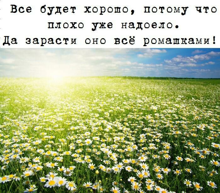 Все будет хорошо потому что плохо уже надоело да зарасти оно всё ромашками