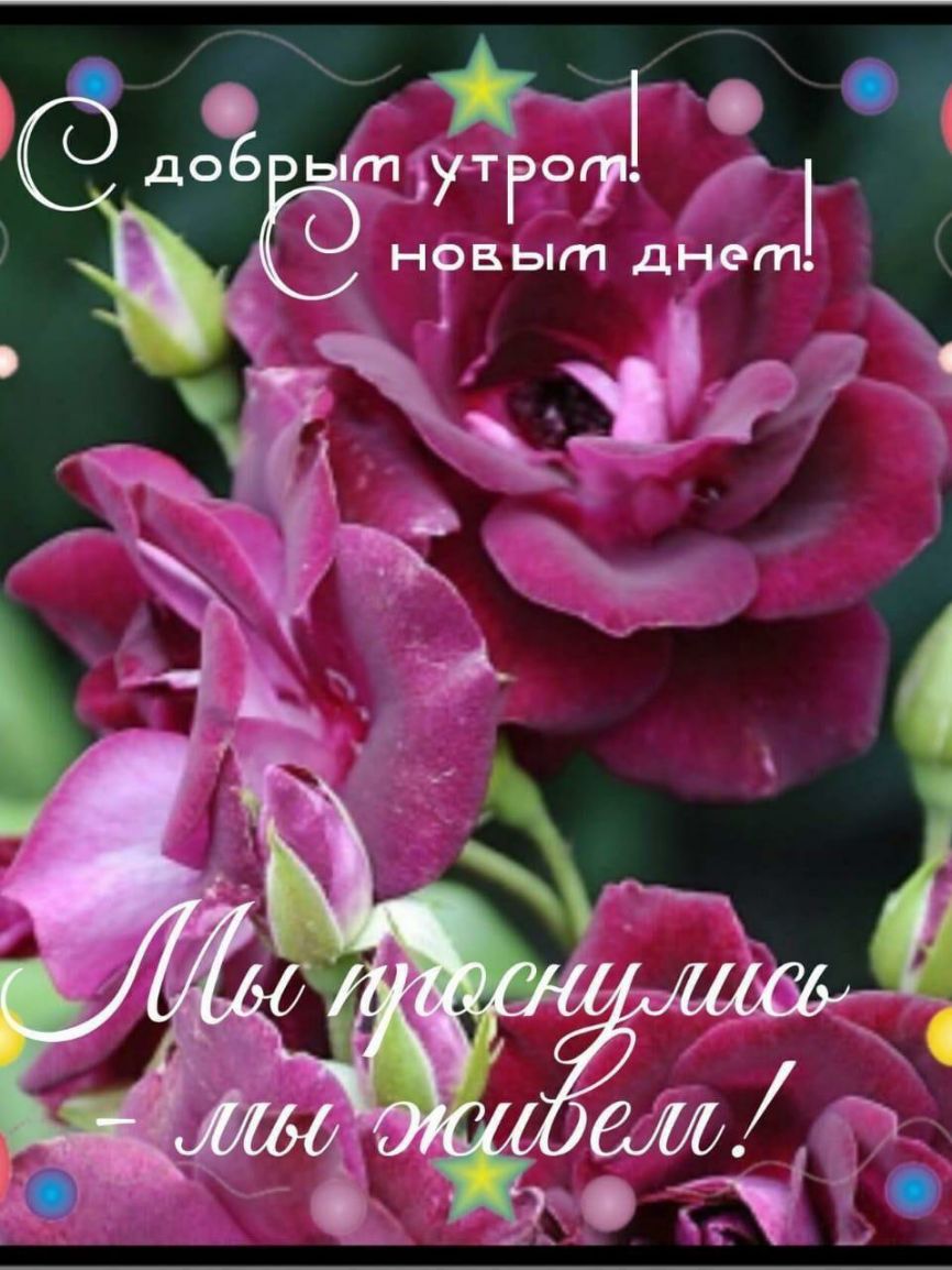_ __ да а НФВЬГП днет