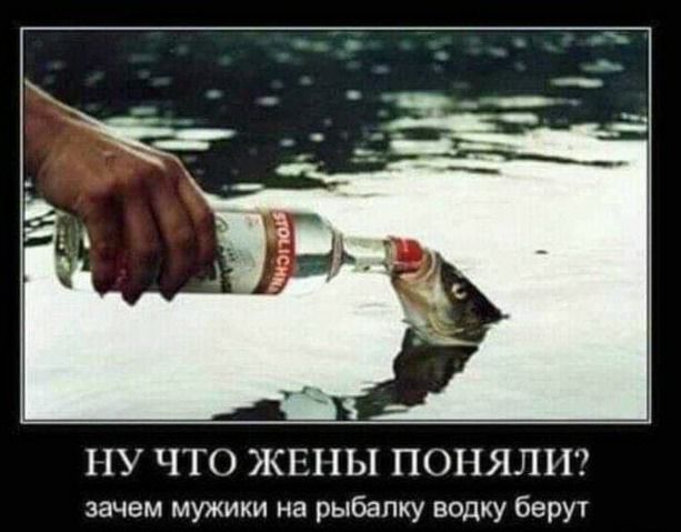 ПУ ЧТО ЖЕПЫ ПОПЯЛП зачем мужики на рыбалку водку берут