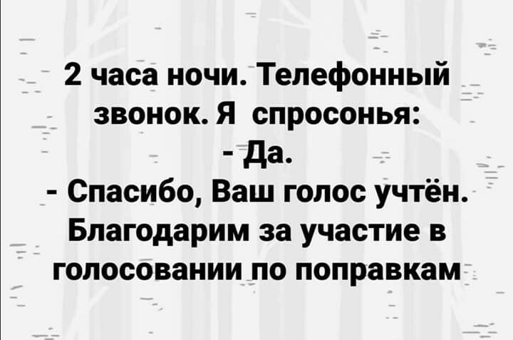 2 часа ночи Телефонный звонок Я спросонья да Спасибо Ваш голос учтён Благодарим за участие в голосовании по поправкам