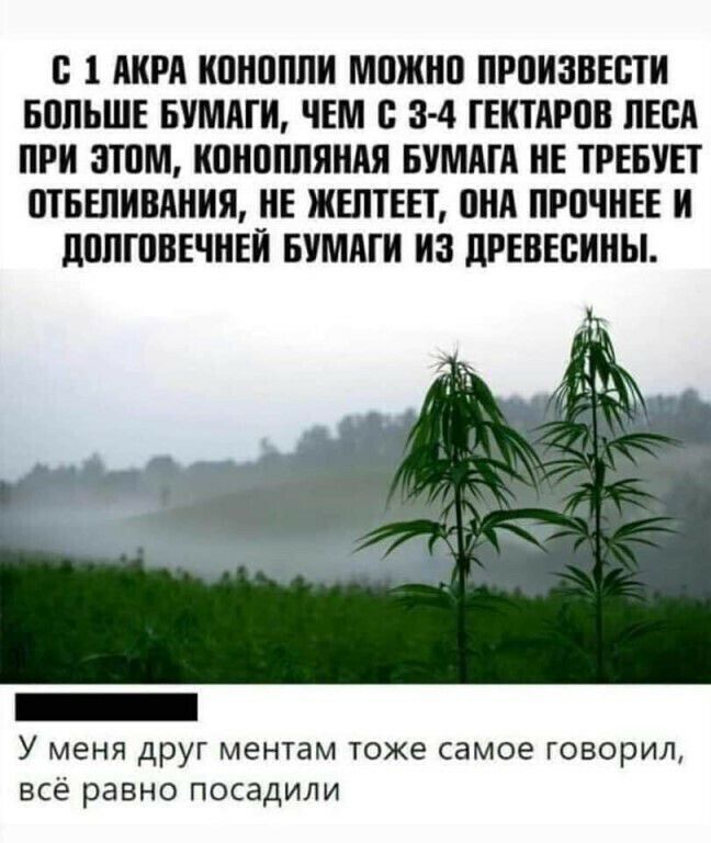 В 1 АИРА ИПНППЛИ МПЖИП ПРПИЗВЕСТИ БПЛЬШЕ БУМАГИ ЧЕМ 3 4 ГЕИТАРПВ ЛЕСА ПРИ 3Т0М ИПНОППЯИАЯ БУМАГА НЕ ТРЕБУЕТ ШБЕПИВАНИЯ ИЕ ЖЕЛТЕЕТ ВНА ПРПЧНЕЕ И дШТГПВЕЧИЕИ БУМАГИ ИЗ дРЕВЕВИНЫ У МЕНЯ ДРУГ МЭНТЗМ ТОЖЕ самое ГОВОРИЛ ВСЁ равно ПОСВДИЛИ