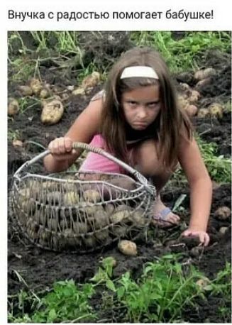 Внучка с радостью помогает бабушке