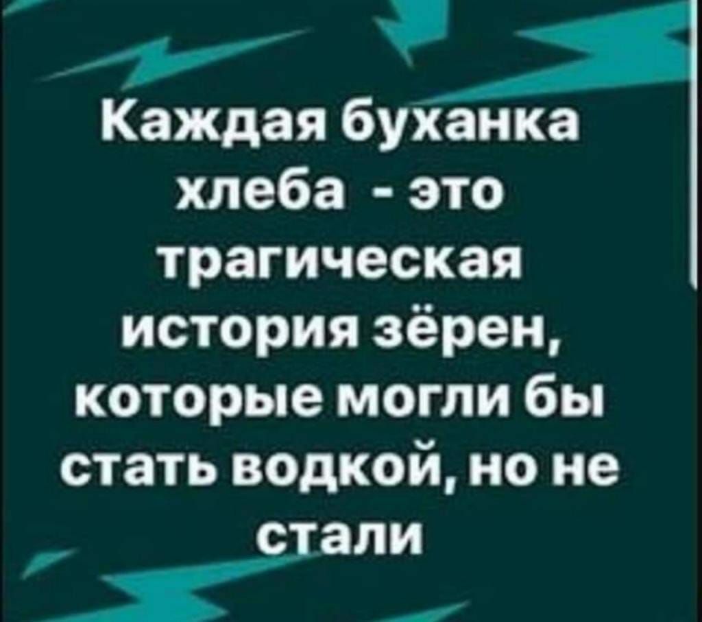 у Каждая буханка хлеба это трагическая история зёрен которые могли бы стать водкой но не СЗЛИ