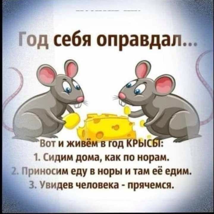 Год себя оправдал 1 Сидим дома как по парам Приносим еду в поры и там её едим 3 Увидев человека прячемся