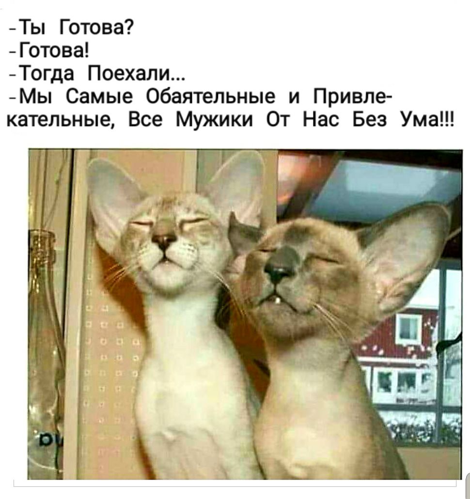 Ты Готова Готова Тогда Поехали Мы Самые обаятельные и Привле кательные Все Мужики От Нас Без Ума