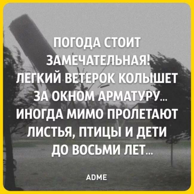 ИНОГДА МИМО ПРОЛЕТАЮТ ЛИСТЬЯ ПТИЦЫ И дЕТИ дОЧВОСЬМИ_ЛЕТУУщх м АВМЕ