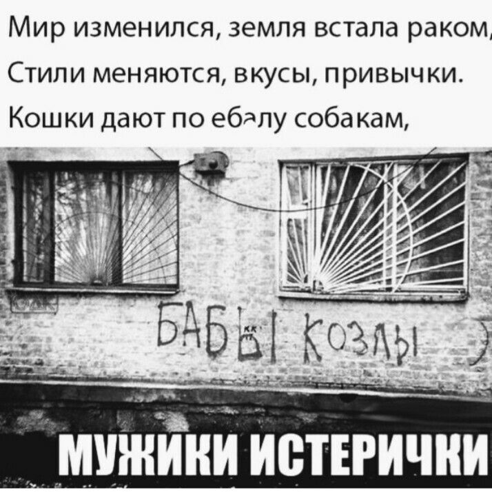 Мир изменился земля встала раком Стили меняются вкусы привычки Кошки дают по ебелу собакам м 7 МУЖЙЁЙ Испгични