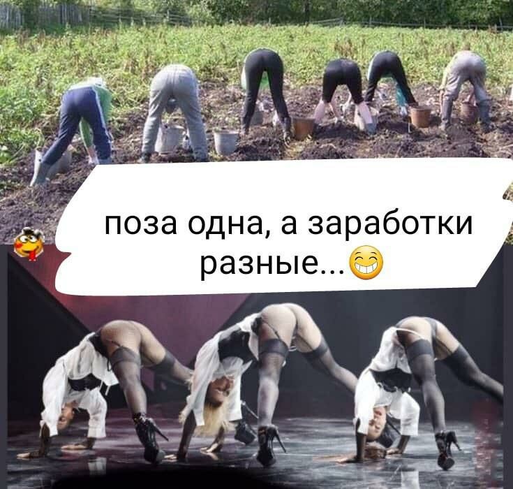 ПОЗЭ одна а заработки разные