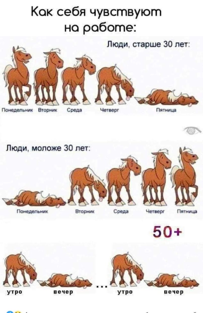 Кок себя чувствуют но роботе Люди старше 30 лет ЕгораОшттт 50 утро вечер утро чер