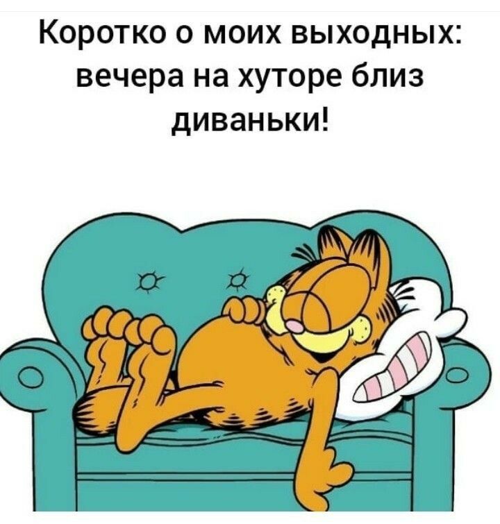Коротко о моих выходных вечера на хуторе близ диваньки