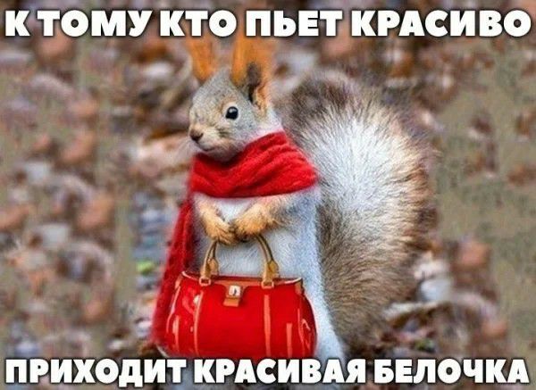К ТОМУ КТО ПЬЕТ КРАСИВО