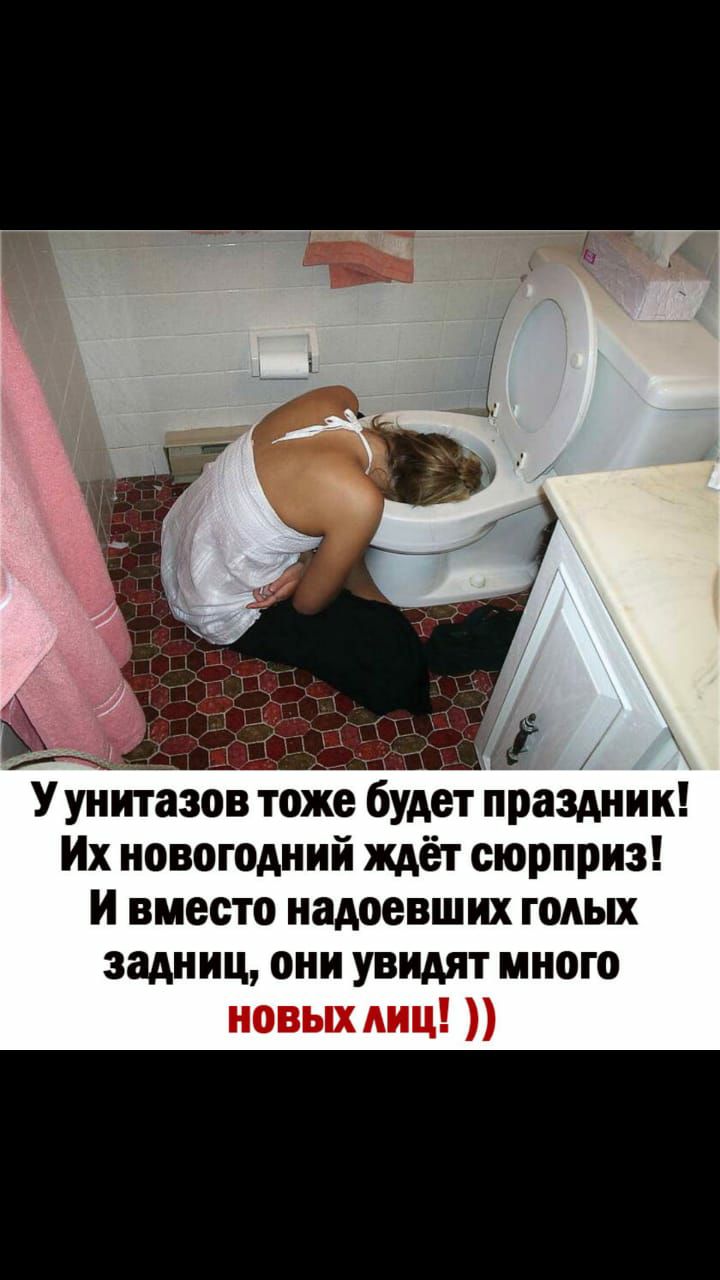 У унитазов тоже будет праздник Их новогодний ждёт сюрприз и вместо надоевших годых задниц они увидят много новых диц