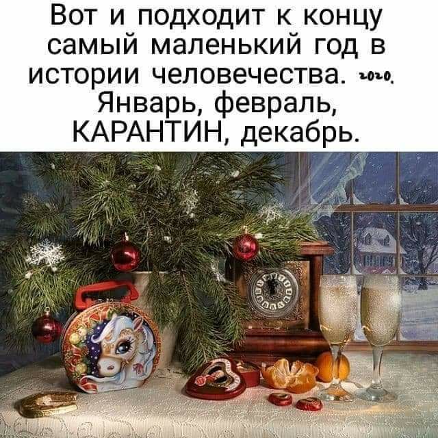 Вот и подходит к концу самый маленький год в истории человечества то Январь февраль КАРАНТИН декабрь