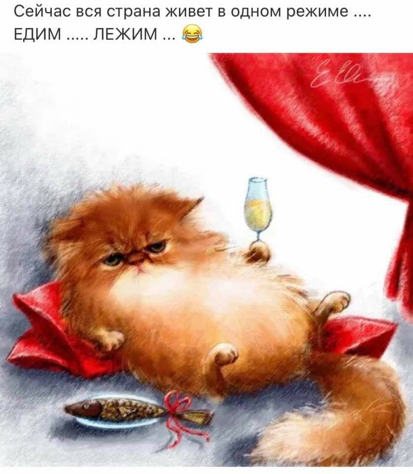 Сейчас вся страна живет в одном режиме ЕДИМ ЛЕЖИМ