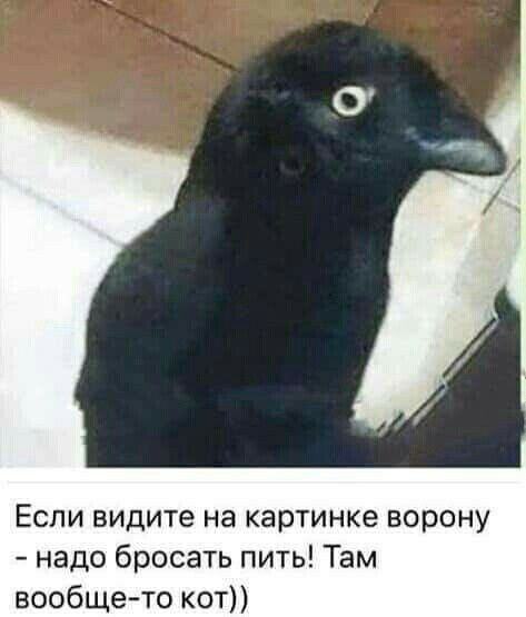Еспи видите на картинке ворону надо бросать пить Там вообще то кат