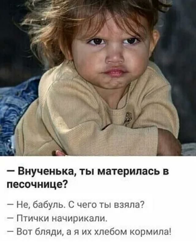 Внученька ты материпась в песочнице Не бабуль С чего ты взяла Птички начирикали Вот бляди а я их хлебом кормила
