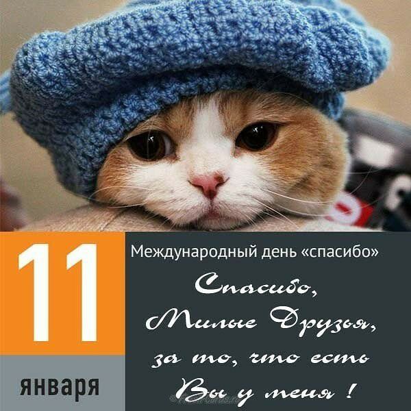 Международный день спасибо салате а73ьэр января _