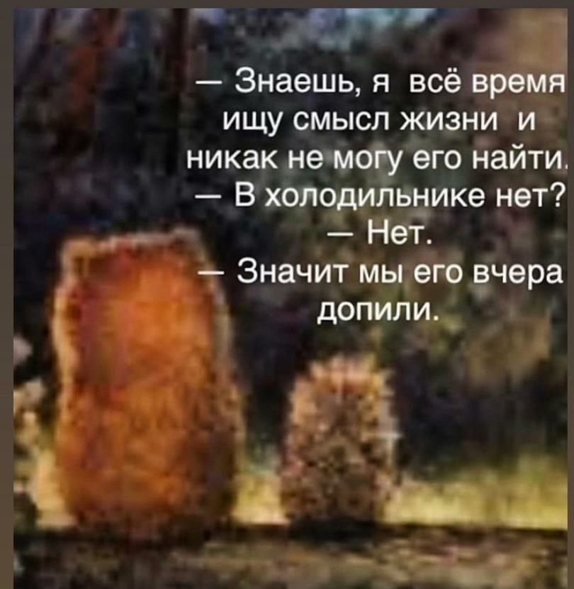 Знаешь я всё время ищу смысл жизни и никак не м его найти В холти внике нет 4 _ НЁТ __ Значит мы его вчера Ъ дОПИЛИ